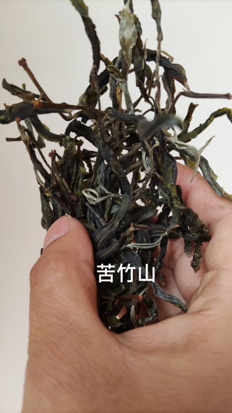 苦竹山古树茶批发
