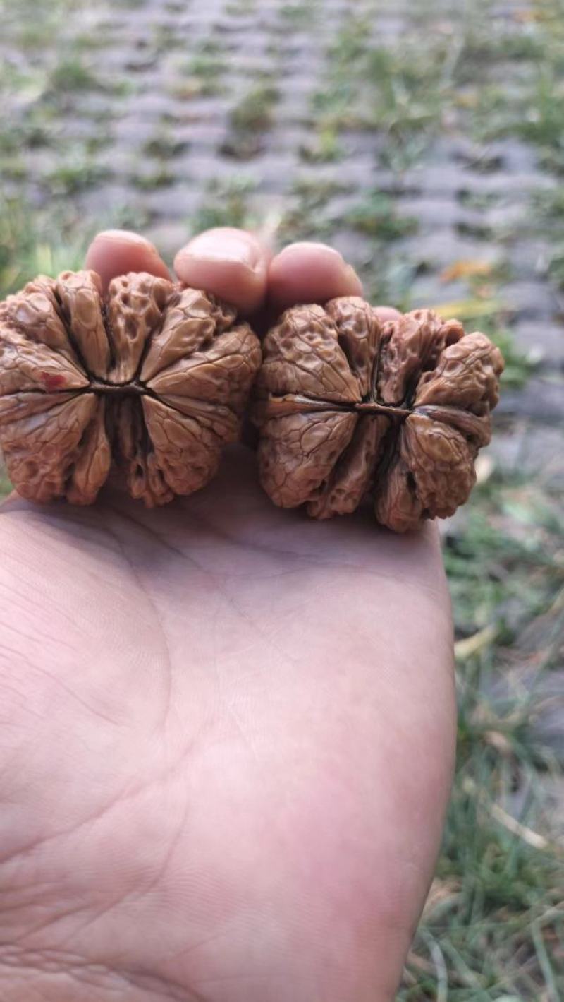 云南文玩核桃供应，量大咨询质量保证欢迎老板咨询沟通