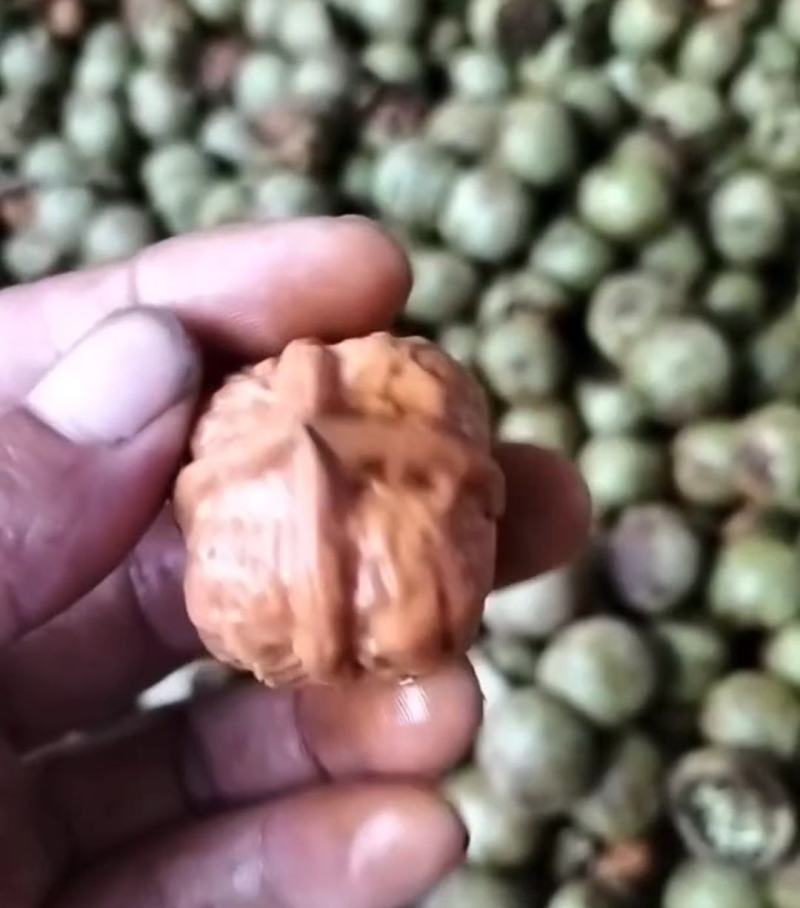 【推荐】文玩核桃大量有货，云南发货，批发零售各种规格