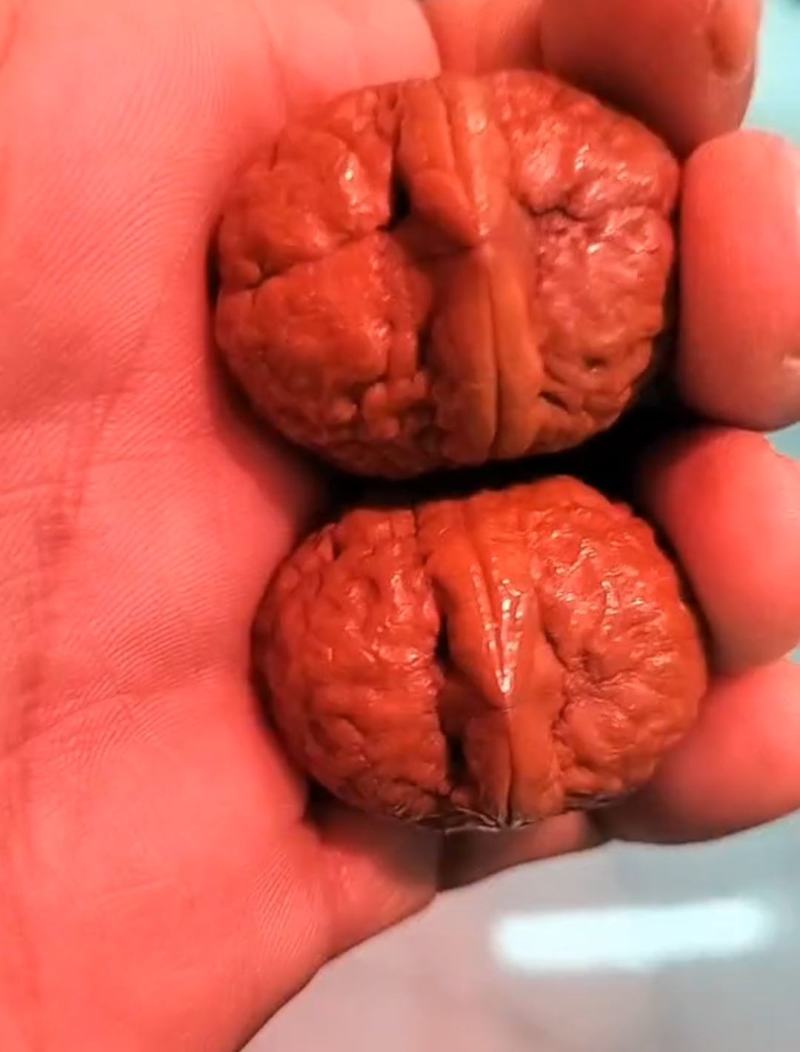 【推荐】文玩核桃大量有货，云南发货，批发零售各种规格