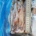 小鱿鱼、鱿鱼🦑原条鱿鱼、鱿鱼花、鱿鱼嘴、鱿鱼须
