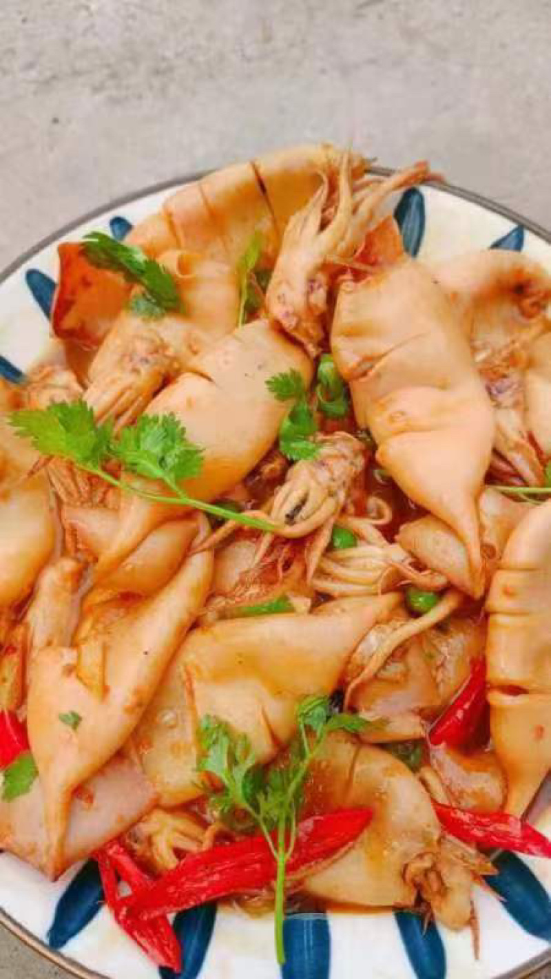小鱿鱼、鱿鱼🦑原条鱿鱼、鱿鱼花、鱿鱼嘴、鱿鱼须