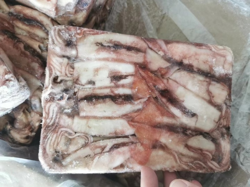 小鱿鱼、鱿鱼🦑原条鱿鱼、鱿鱼花、鱿鱼嘴、鱿鱼须