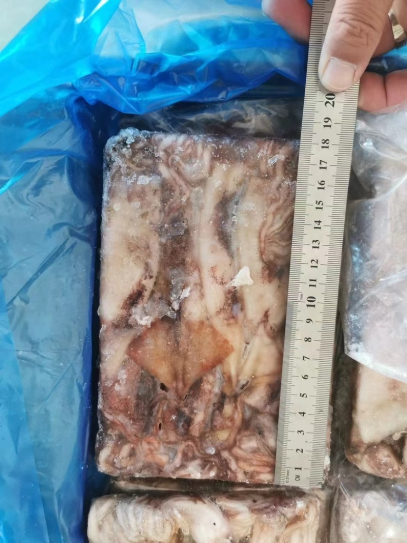 小鱿鱼、鱿鱼🦑原条鱿鱼、鱿鱼花、鱿鱼嘴、鱿鱼须