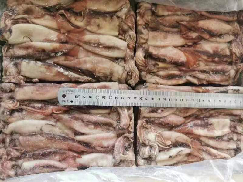 小鱿鱼、鱿鱼🦑原条鱿鱼、鱿鱼花、鱿鱼嘴、鱿鱼须