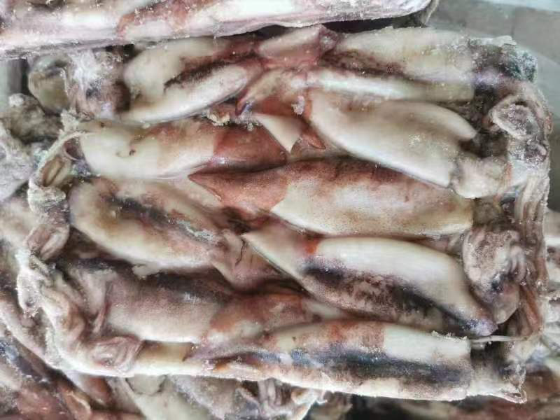 小鱿鱼、鱿鱼🦑原条鱿鱼、鱿鱼花、鱿鱼嘴、鱿鱼须