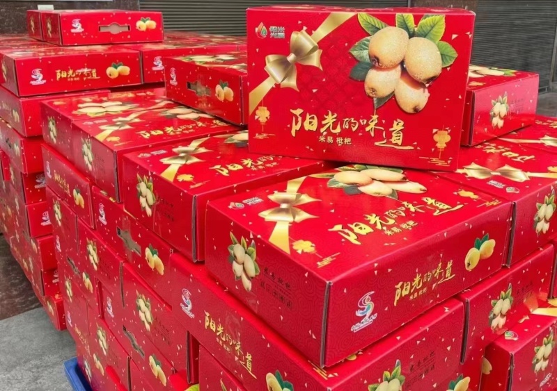 攀枝花米易枇杷大五星早中枇杷一件代发（下单备注品种）