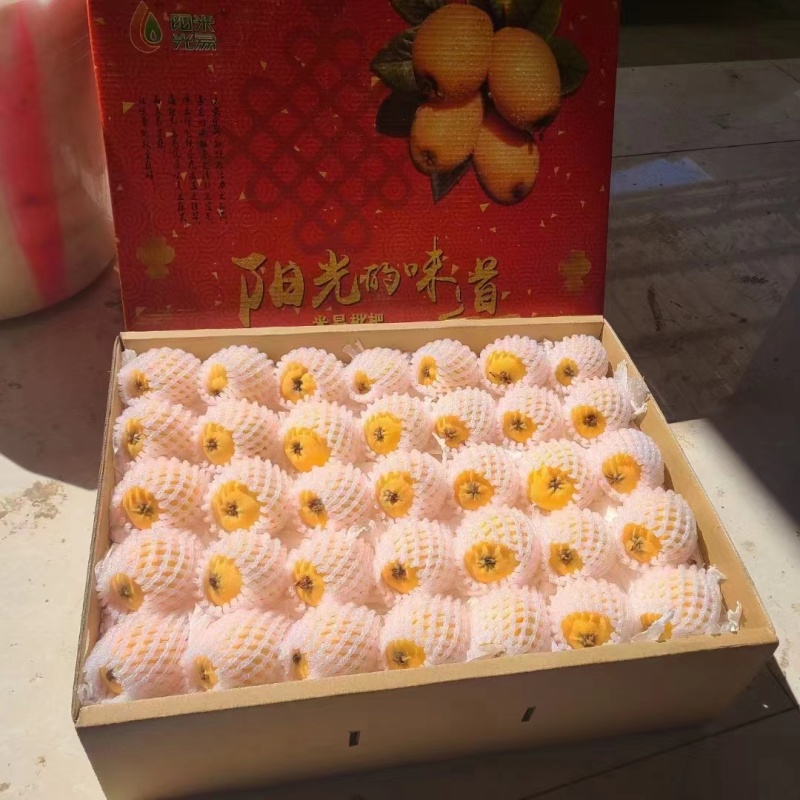 攀枝花米易枇杷大五星早中枇杷一件代发（下单备注品种）