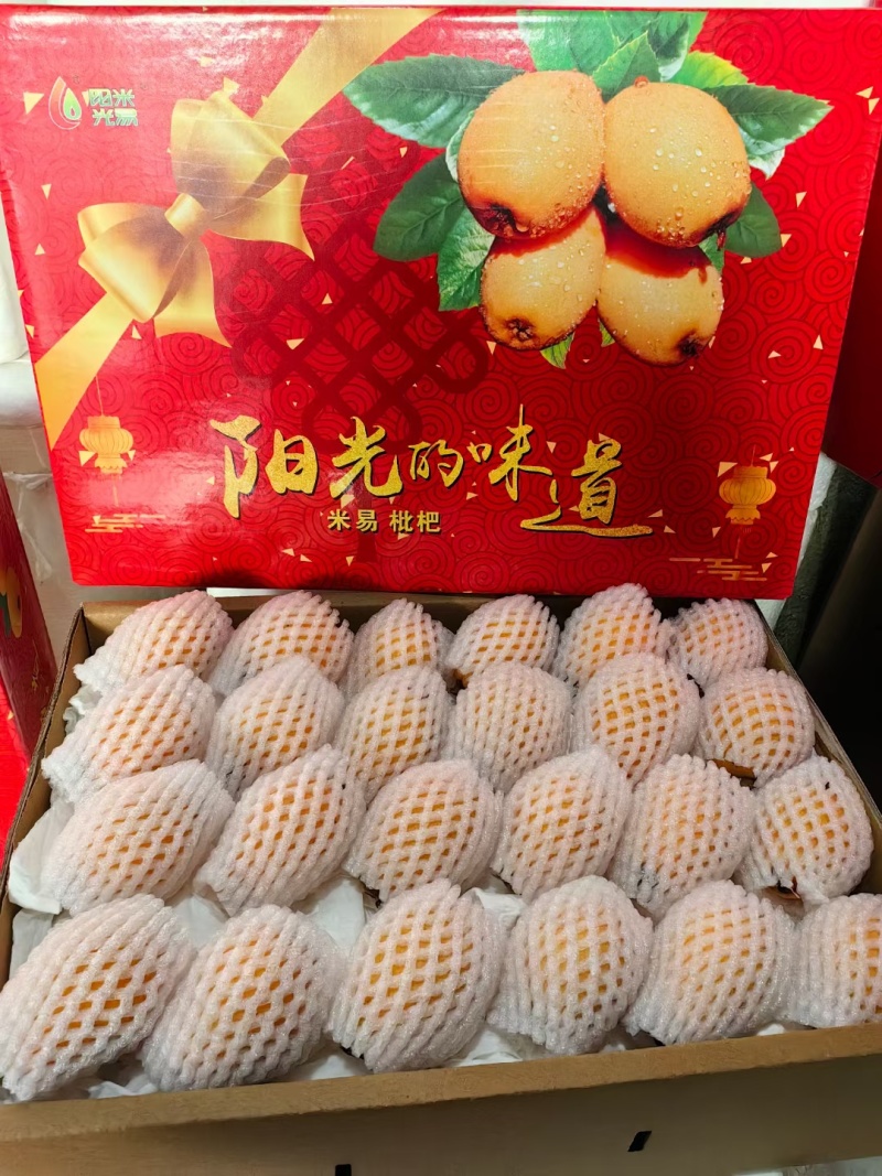 攀枝花米易枇杷大五星早中枇杷一件代发（下单备注品种）