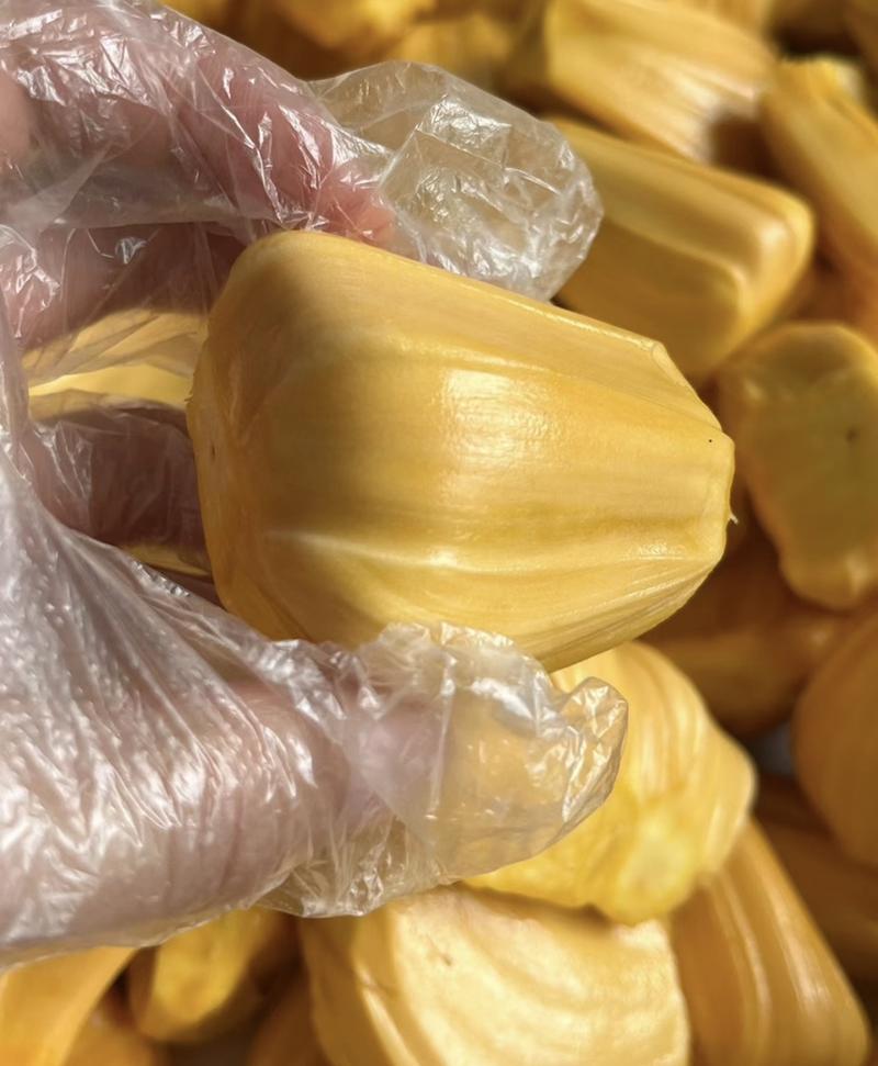 【实力】海南菠萝蜜-回购高-产地直供-品质保证-可视频看货