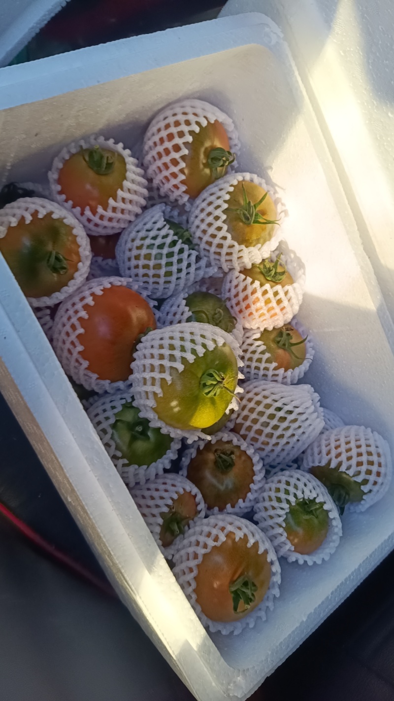 这是我们家种植的草莓西红柿，有需要的的联系我。