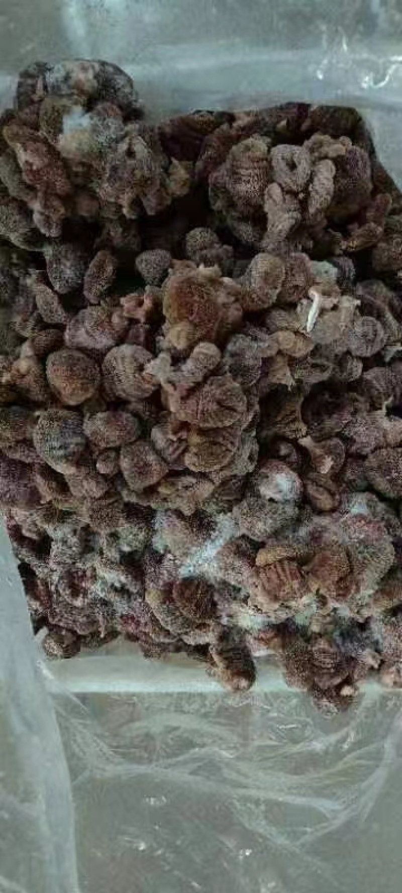 鸡毛肚，火烧毛牛蹄，牛肚，蹄筋，拐筋，生熟，去骨都有。