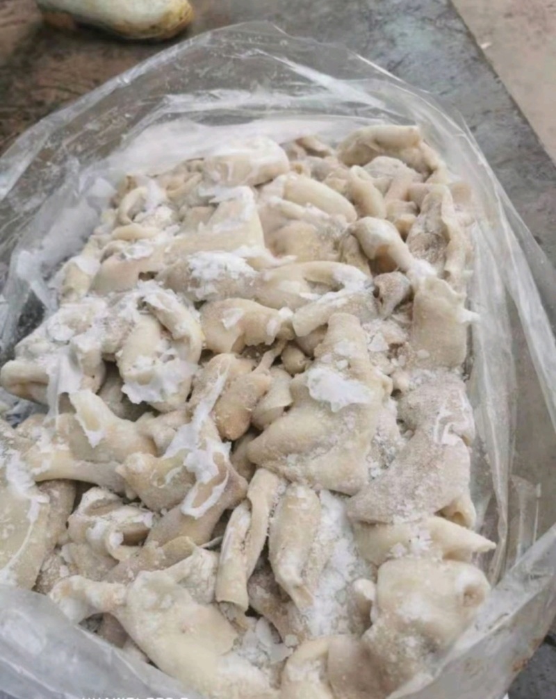 鸡毛肚，火烧毛牛蹄，牛肚，蹄筋，拐筋，生熟，去骨都有。