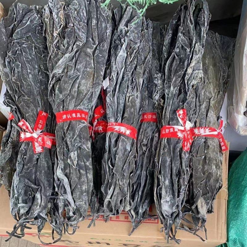 40cm长海带头