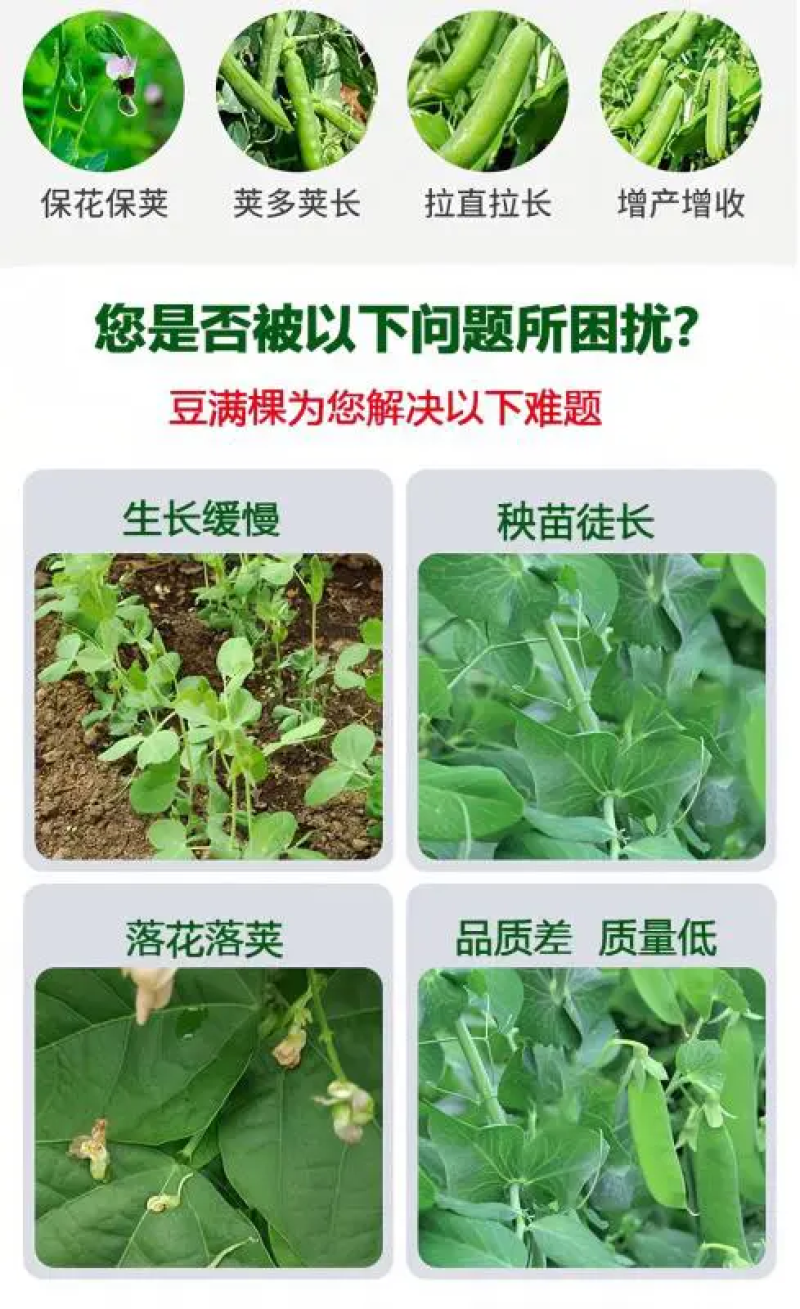 豆角专用水溶肥，全水溶，无残渣效果明显适用于各种豆角品种