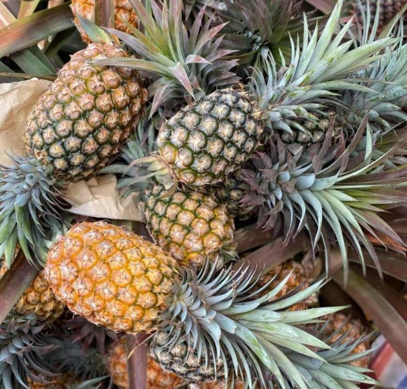 《香水菠萝》小菠萝供应电商市场批发商城甜度高量大