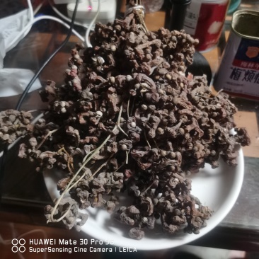 精品干拐枣