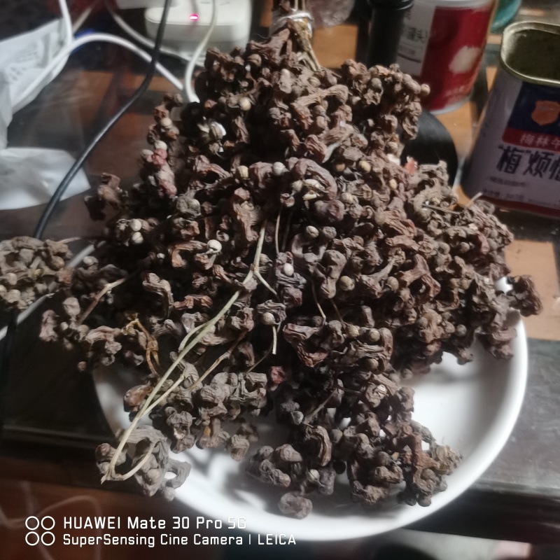 精品干拐枣