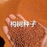 构树种子持续上新