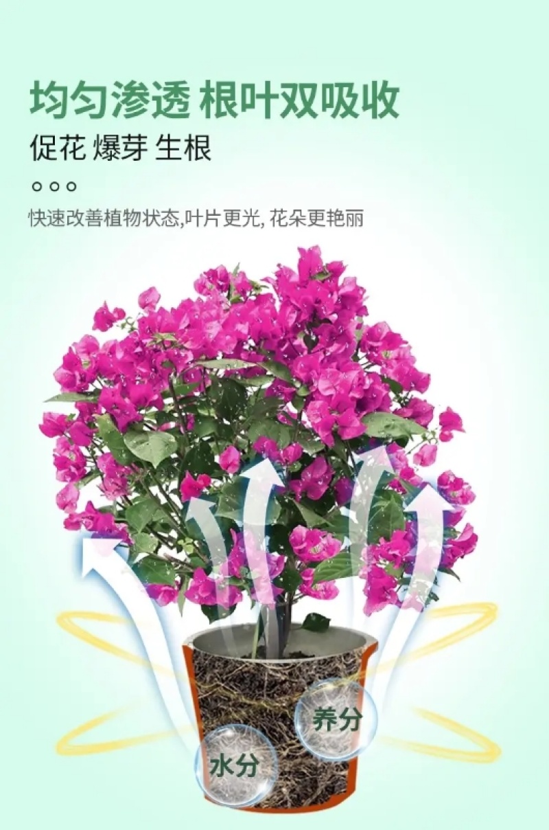 植物营养液，通用型，全面营养，调节生长，全国发货量大优惠