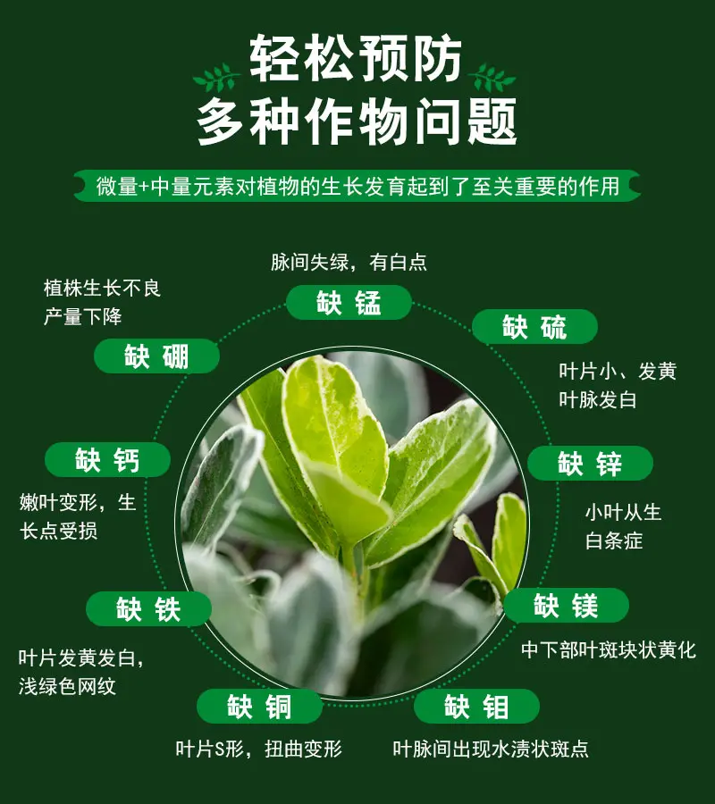 植物营养液，通用型，全面营养，调节生长，全国发货量大优惠