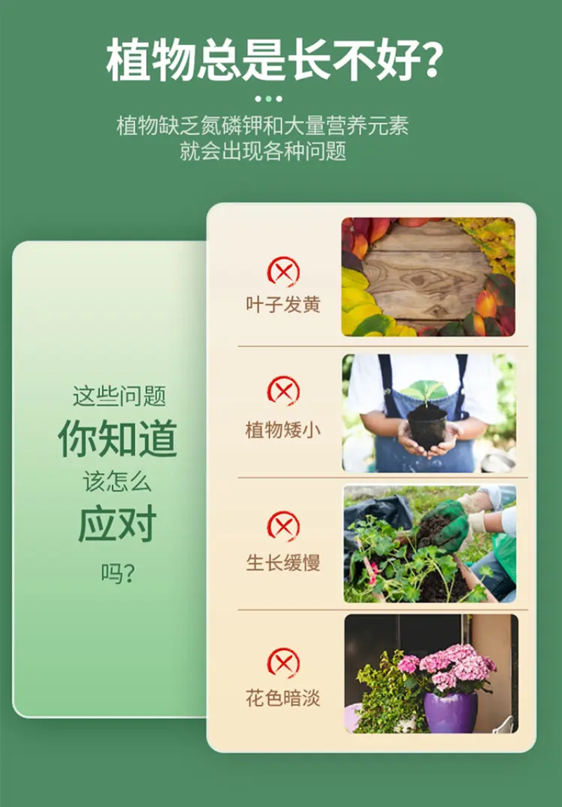 植物营养液，通用型，全面营养，调节生长，全国发货量大优惠