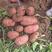 雪川红土豆