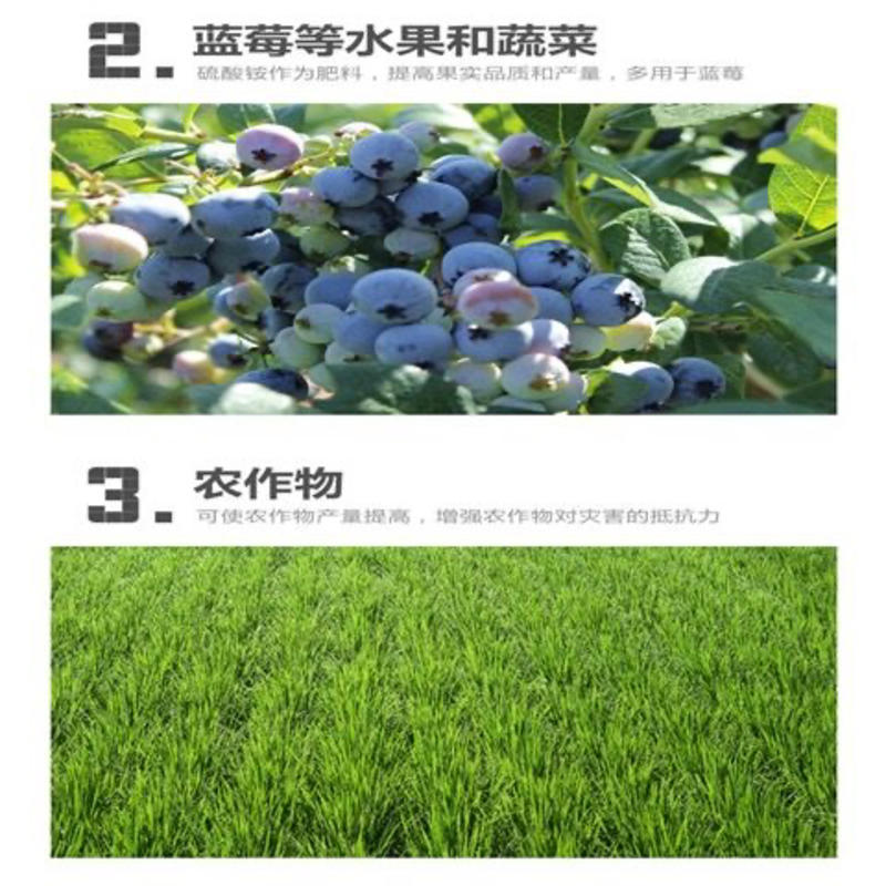 硫酸铵农用速效氮肥酸性蓝莓桂花喜酸植物有机酸性肥