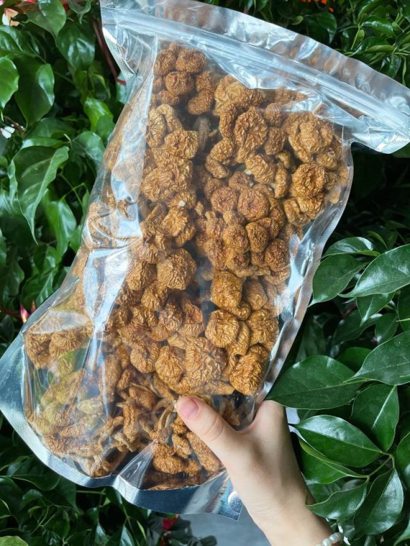 【包邮】滑子菇干货小黄菇散装净重香菇滑子菇东北特产批发