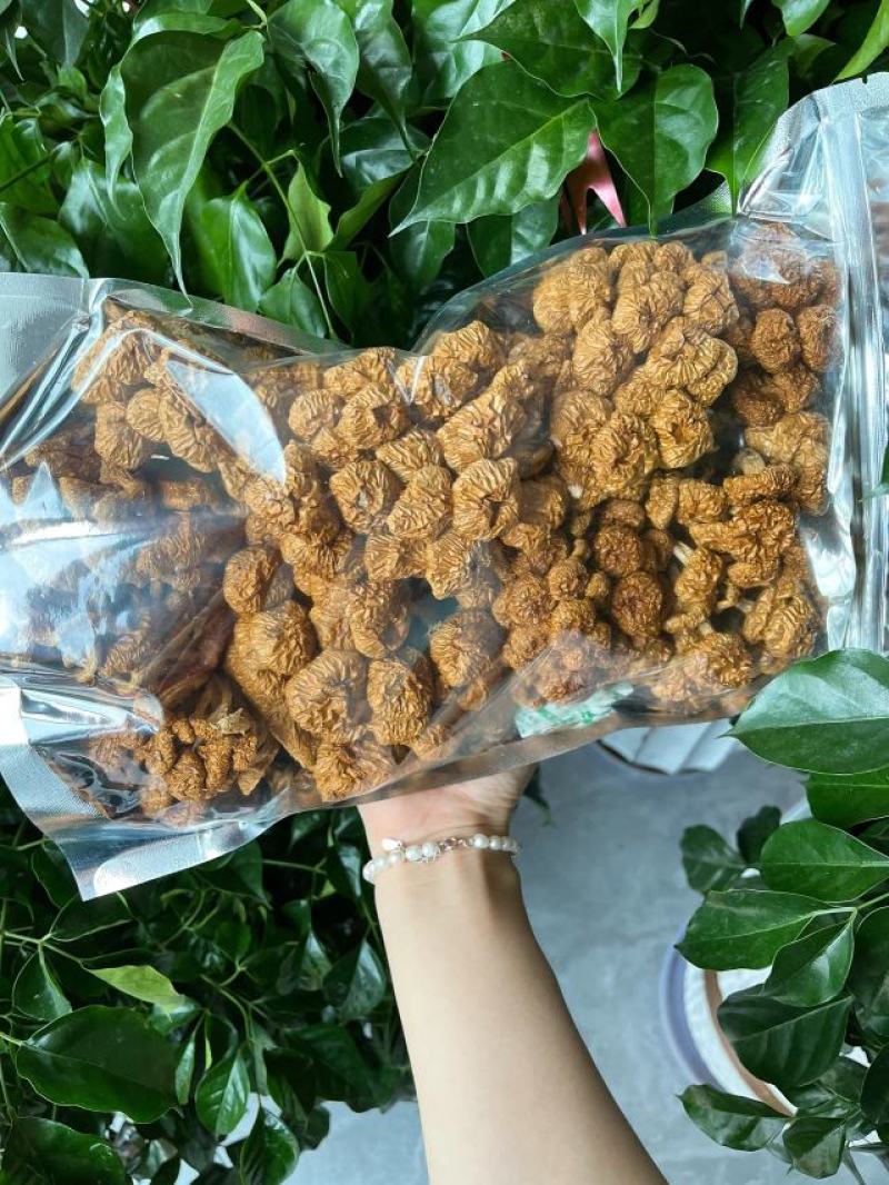 【包邮】滑子菇干货小黄菇散装净重香菇滑子菇东北特产批发