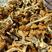【包邮】滑子菇干货小黄菇散装净重香菇滑子菇东北特产批发