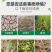 含腐殖酸水溶肥，疏松土壤，保水保肥，增根壮苗，大量供应