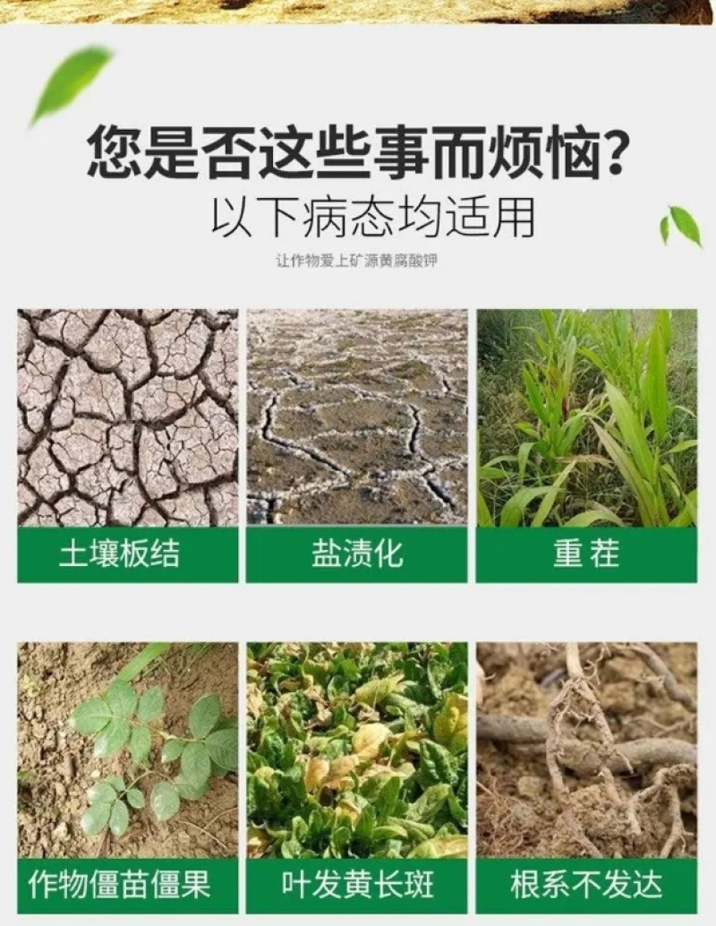 含腐殖酸水溶肥，疏松土壤，保水保肥，增根壮苗，大量供应