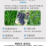 含腐殖酸水溶肥，疏松土壤，保水保肥，增根壮苗，大量供应