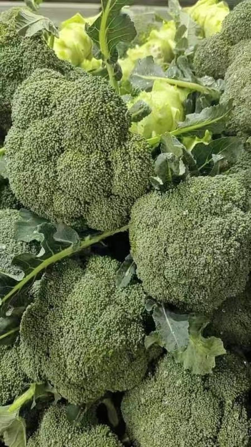 西兰花或叫青花