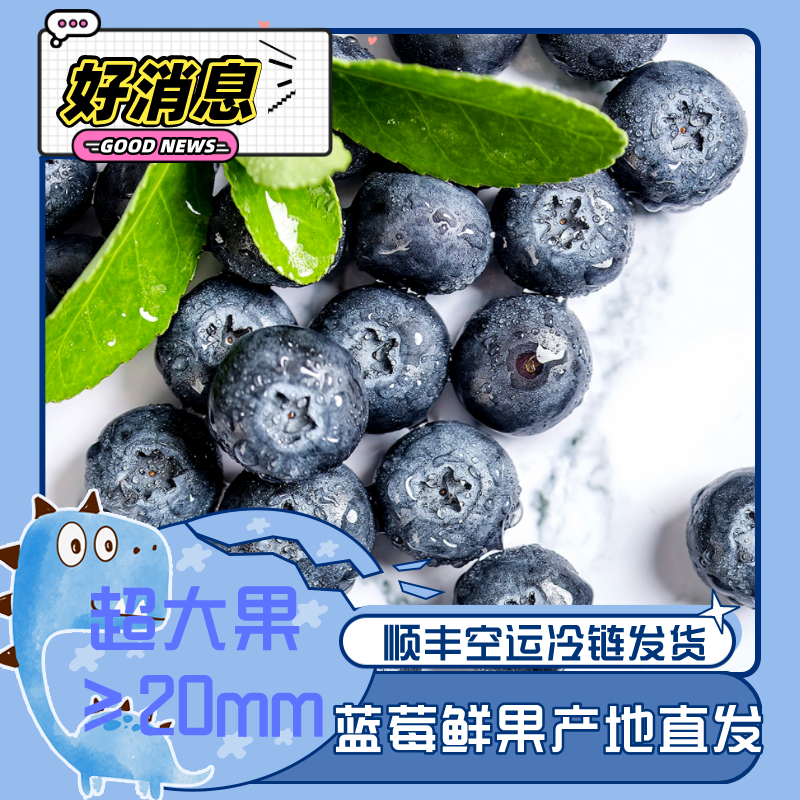 云南露天种植精品蓝莓L25、F6、优瑞卡、春高、珠宝批发