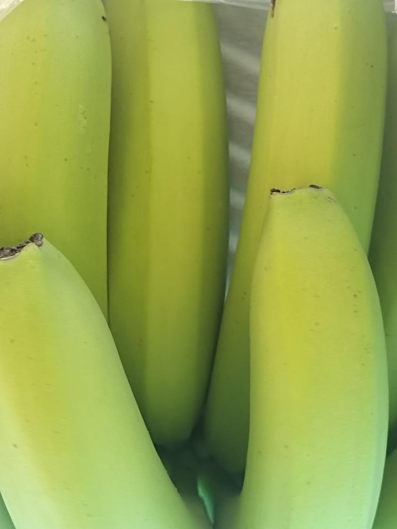 云南香蕉