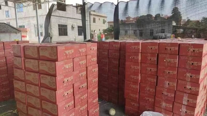 玫珑瓜，接所有电商平台一件代发，价格美丽。