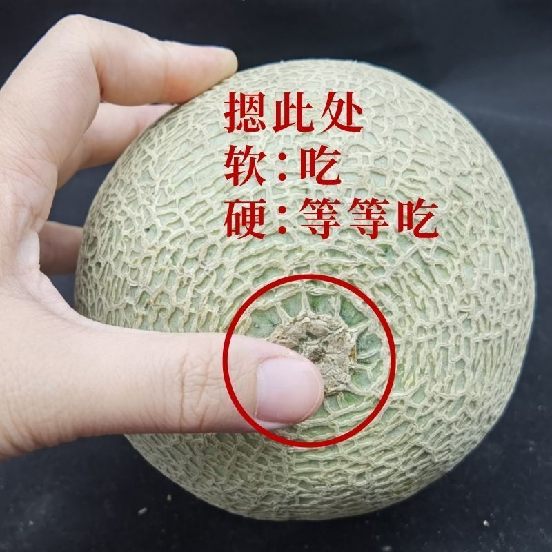 玫珑瓜，接所有电商平台一件代发，价格美丽。