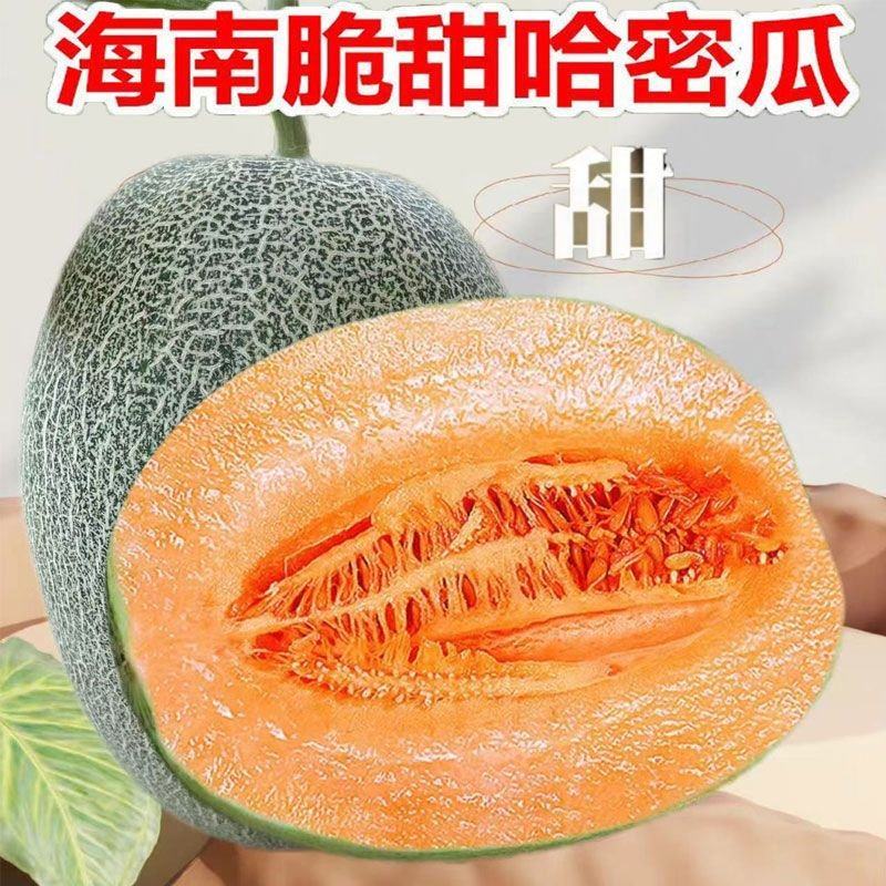小蜜25号接所有电商平台一件代发！价格美丽！