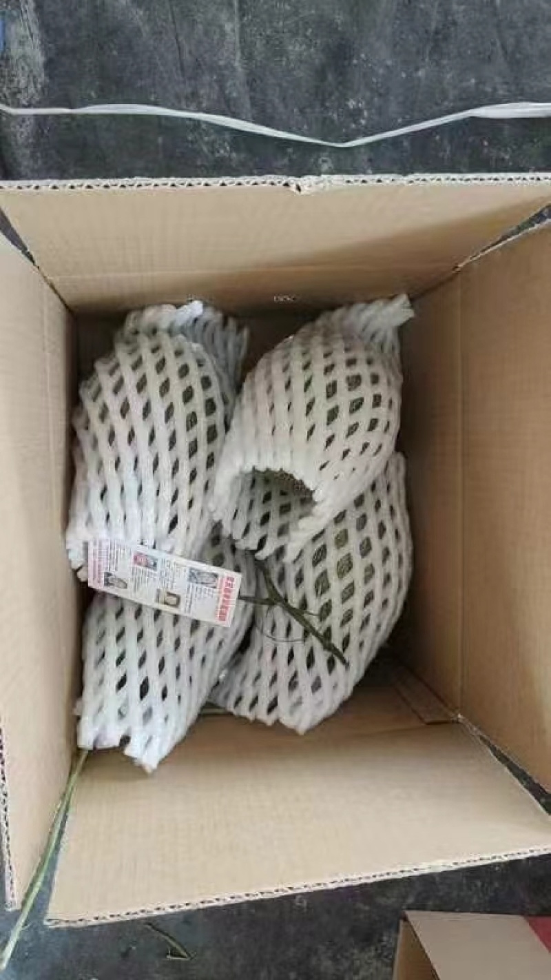 小蜜25号接所有电商平台一件代发！价格美丽！