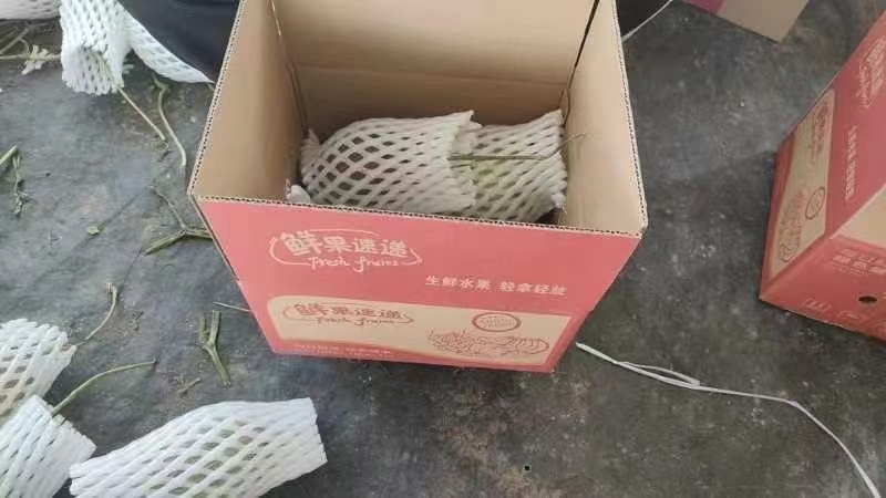 小蜜25号接所有电商平台一件代发！价格美丽！