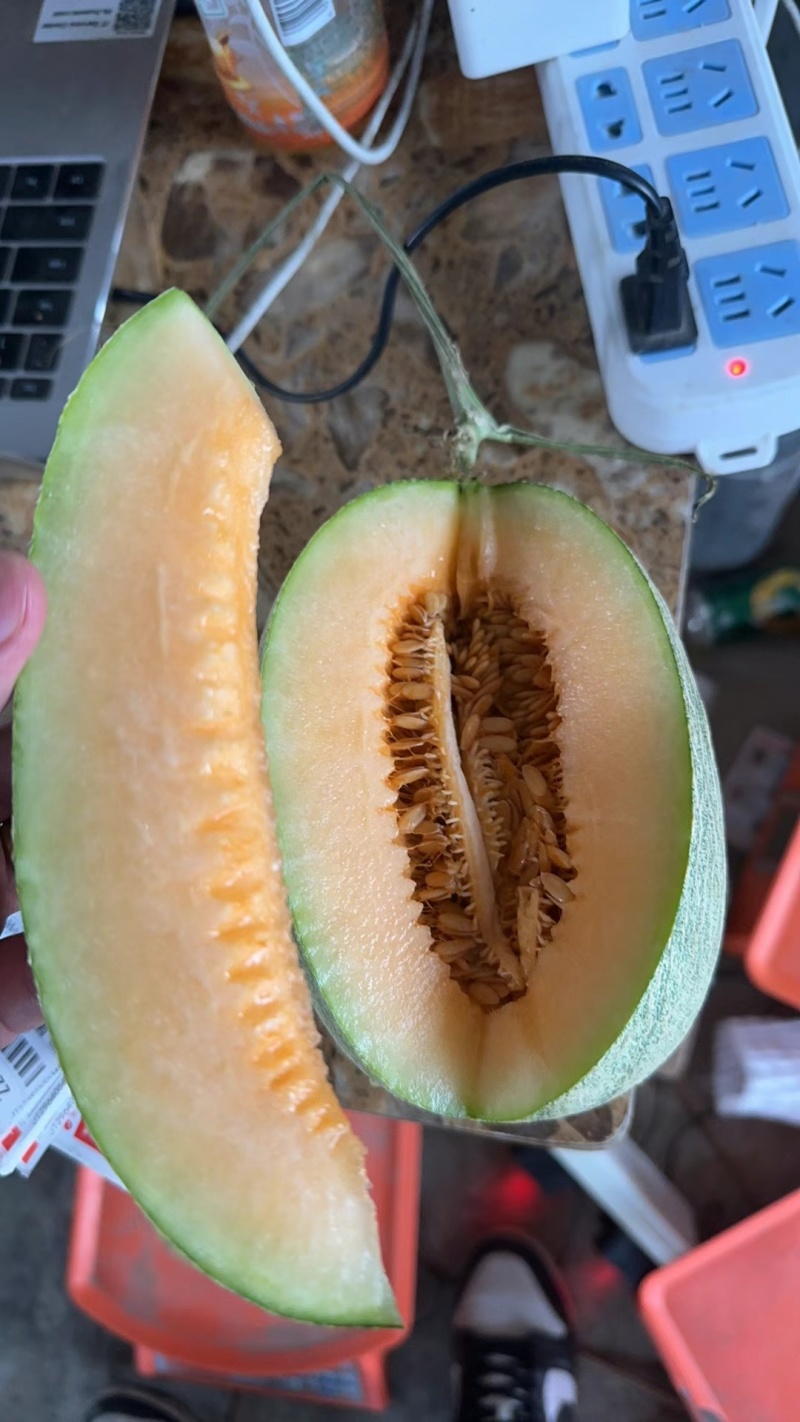 小蜜25号接所有电商平台一件代发！价格美丽！