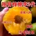正宗蜂糖李子树苗，可大面积种植，盆栽，全国可活