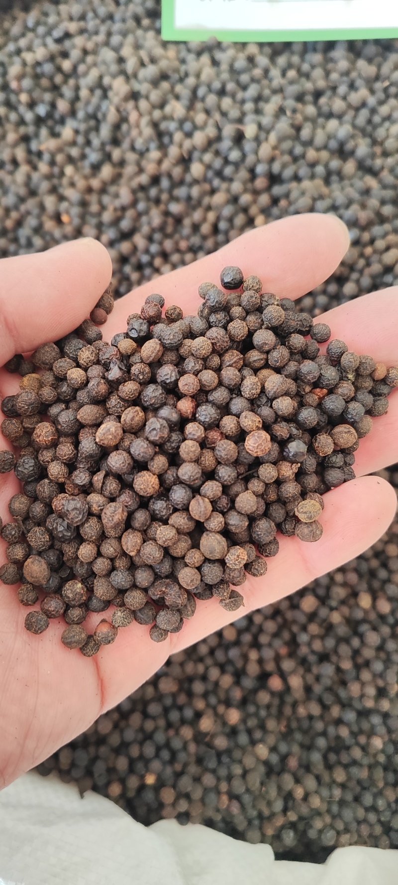 荜澄茄冷背药材量大从优欢迎选购！