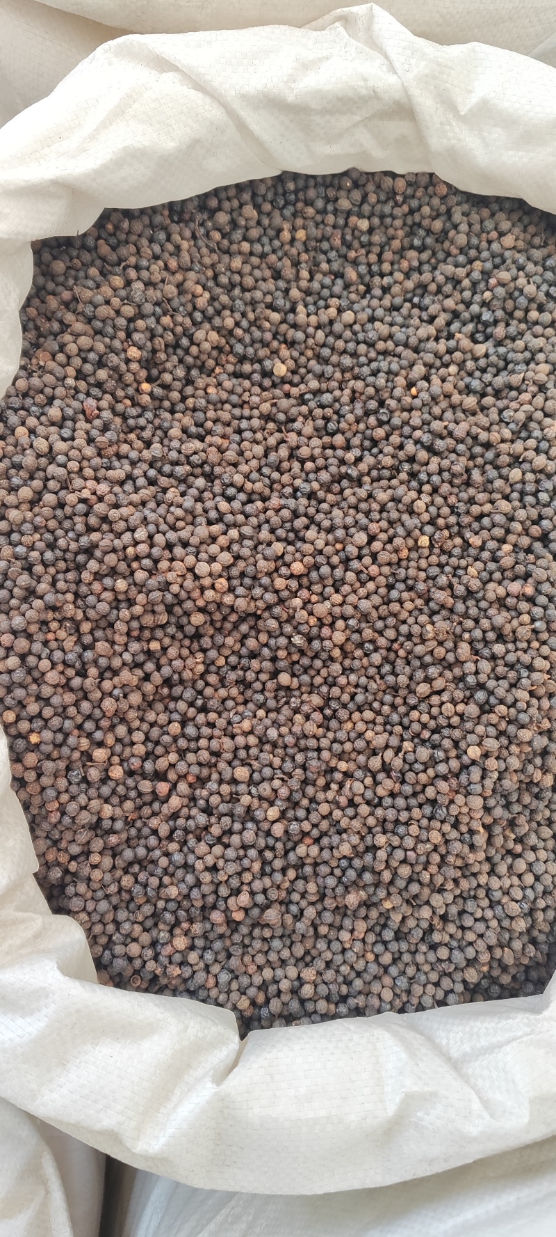 荜澄茄冷背药材量大从优欢迎选购！