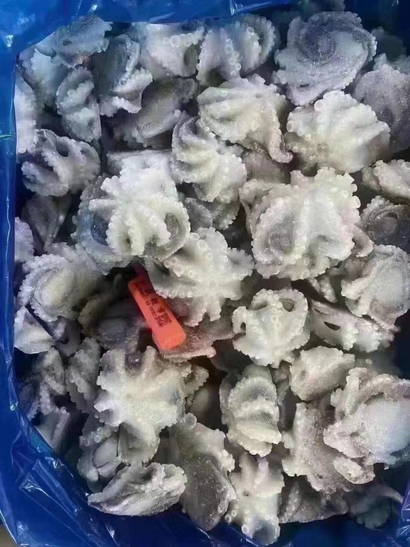 八爪鱼，盐磨八爪鱼，品质保证，价格便宜，干冰货，货源充足