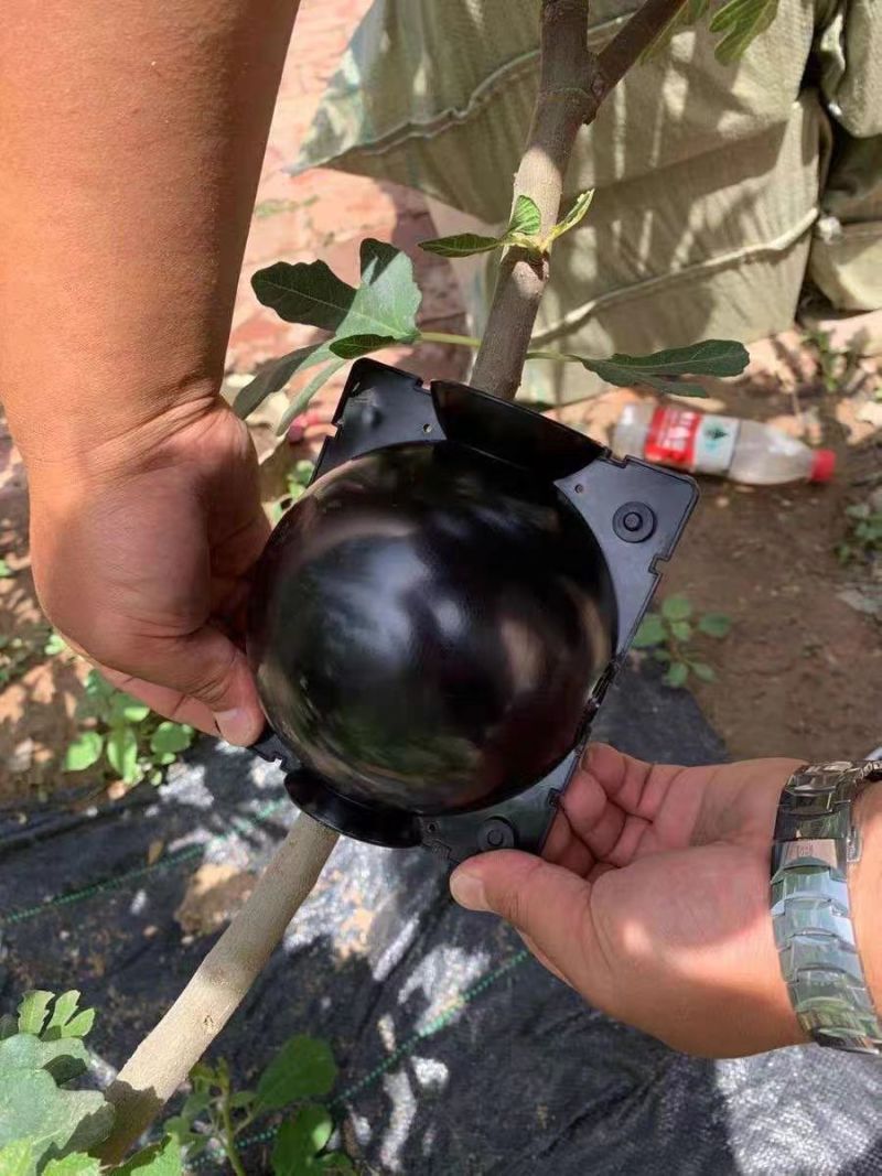 植物高压生根盒繁殖嫁盒高枝压条生根盒嫁接控根器高压盒