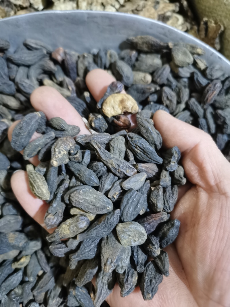 青果西青果泽润中药批发零售各种中药材