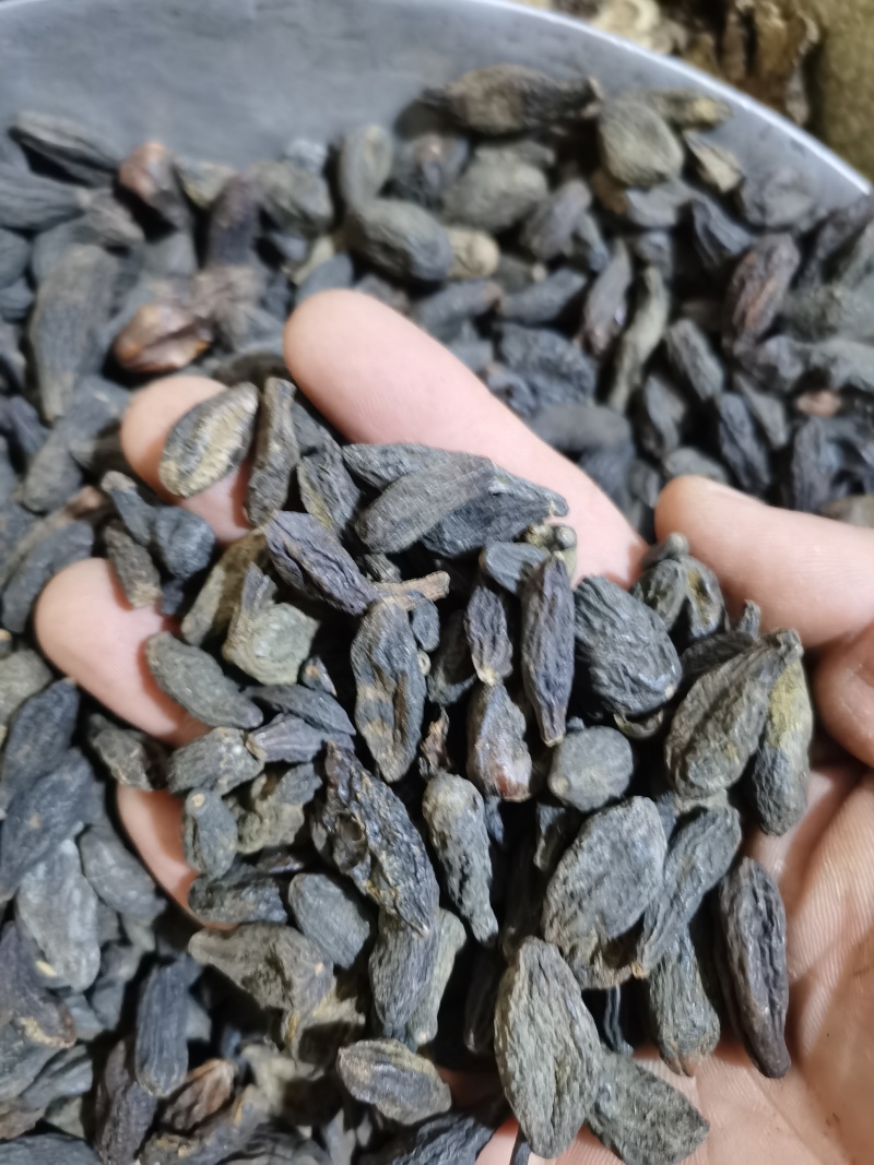 青果西青果泽润中药批发零售各种中药材